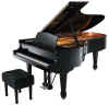 http://www.lowes-pianos-and-organs.com/images/sp225epsmall.jpg